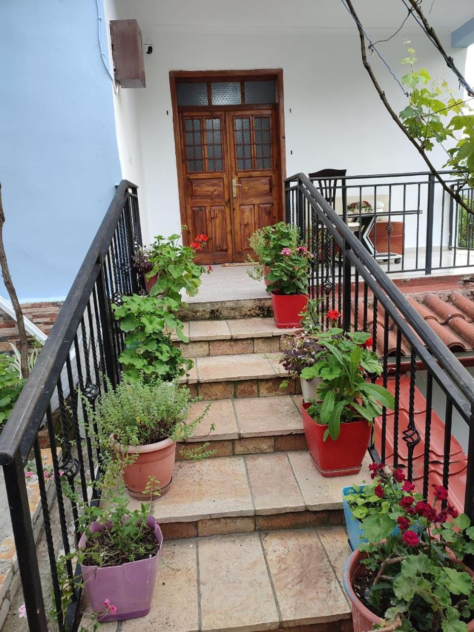 Guest House Eloid Berat Exterior photo